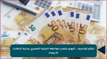 أرقام قياسية.. اليورو يتصدر مواجهة الجنيه المصري ببداية تداولات الأربعاء